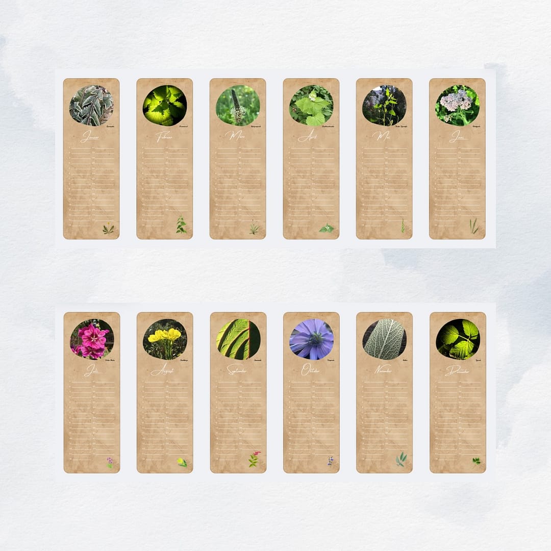 Überblick 12 Monate